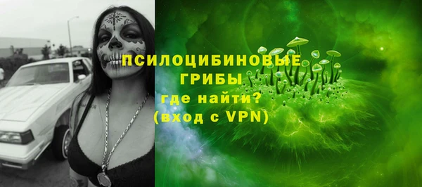 круглые Алзамай